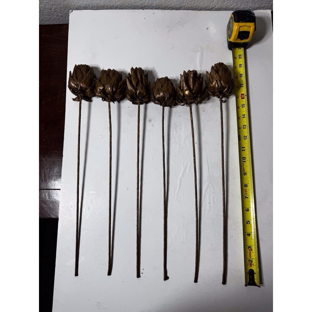 Floral Stems Dried Artichoke-Set Of 6